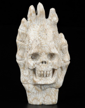 3.5" Coral Fossil Hand Carved Crystal Skull Fine Art Sculpture, Crystal Healing