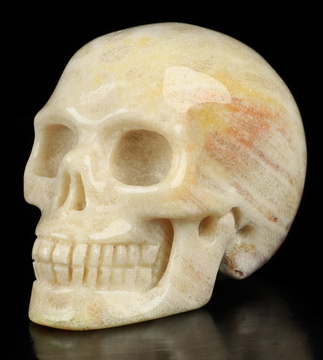 2.0" Coral Fossil Hand Carved Crystal Skull, Realistic, Crystal Healing