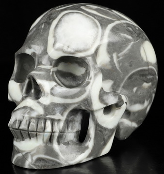 5.1" Sea Shell Marble Hand Carved Crystal Skull, Realistic, Crystal Healing