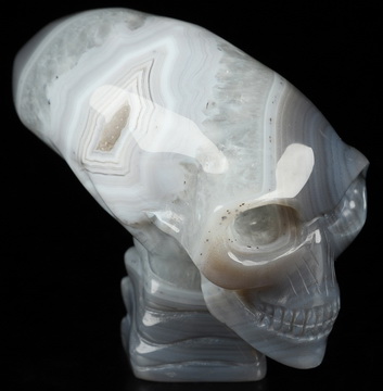 3.7" Gray & White Agate Hand Carved Crystal Elongated Mayan Alien Skull with Spine Sculpture, Crystal Healing