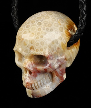 Necklace of 2.0" Coral Fossil Hand Carved Crystal Skull Pendant, Skull Jewelry