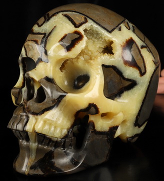 Super Realistic! Lifesized 6.9" Dragon Septarian Stone Hand Carved Crystal Skull, Crystal Healing