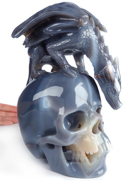 8.7" Orca agate Hand Carved Crystal Skull and Dragon Fine Art Sculpture, Crystal Healing