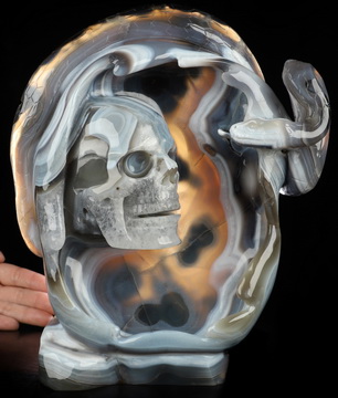 9.8" Premium Brazilian Agate Hand Carved Crystal Skull and Snake Sculpture, Crystal Healing