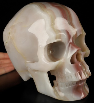 Super Realistic! Lifesized 7.0" Afghanistan Jade Hand Carved Crystal Skull, Crystal Healing