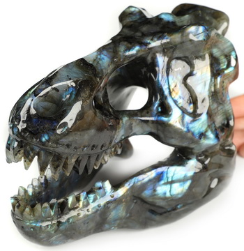 6.7" Labradorite Hand Carved Crystal Tyrannosaurus/dinosaur Skull, Crystal Healing
