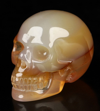 1.1" Carnelian Hand Carved Crystal Skull, Realistic, Crystal Healing