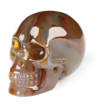 1.1" Carnelian Hand Carved Crystal Skull, Realistic, Crystal Healing
