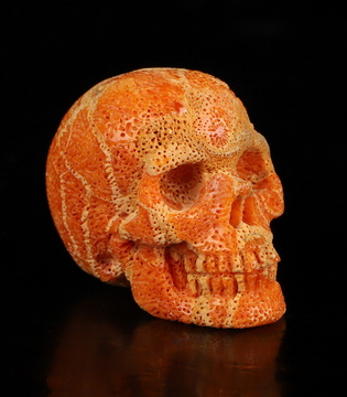 0.9" Red Coral Hand Carved Crystal Skull, Realistic, Crystal Healing