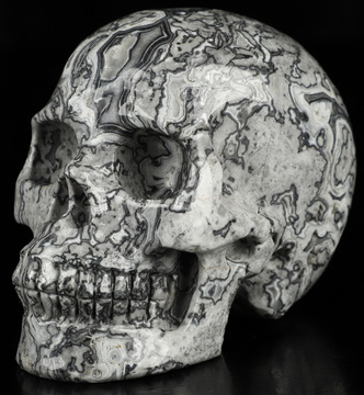 3.9" Crocodile Jasper Hand Carved Crystal Skull, Realistic, Crystal Healing