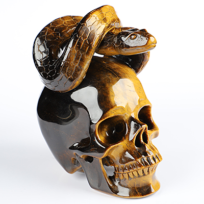 4.9" Flash Gold Tiger's Eye Hand Carved Crystal Skull and Snake Sculpture, Crystal Healing