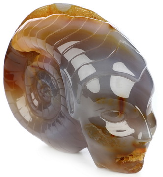 5.1" Premium Brazilian Agate Hand Carved Fairy Elf Alien Ammonite Crystal Skull Companion Sculpture, Crystal Healing