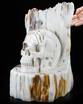 11.0" Petrified Wood Hand Carved Crystal Skull Fine Art Sculpture, Crystal Healing