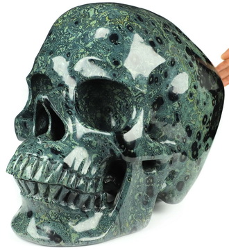 51.9LB Tiatn 13.0" Kambaba Jasper Hand Carved Crystal Skull, Crystal Healing