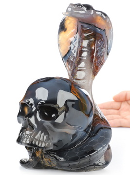 7.5" Premium Brazilian Agate Hand Carved Crystal Skull and Snake Sculpture, Crystal Healing