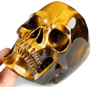 Flash 6.0" Gold Tiger's Eye Hand Carved Crystal Skull, Super Realistic, Crystal Healing
