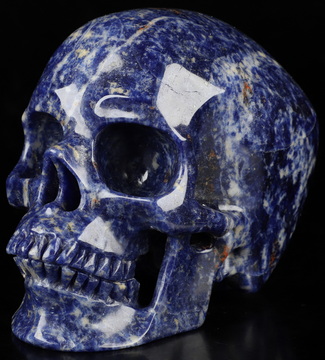 5.1" Sodalite Hand Carved Crystal Skull, Super Realistic, Crystal Healing