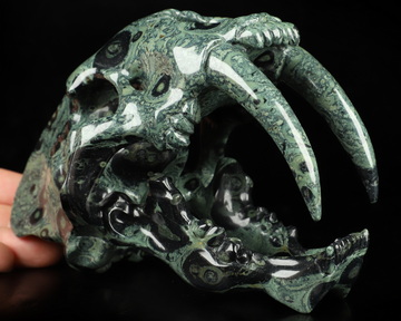 6.1" Kambaba Jasper Hand Carved Crystal Smilodon SABER-TOOTHED Tiger/Cat Skull Sculpture