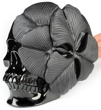 5.9" Black Obsidian Hand Carved Crystal Skull and Flower Fine Art Sculpture, Crystal Healing