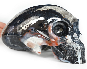 8.1" Black Zebra Agate Geode Hand Carved Crystal Elongated Mayan Alien Skull Sculpture, Crystal Healing