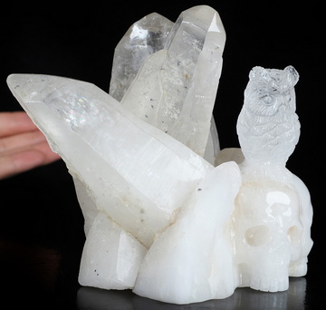 5.7" Quartz Rock Crystal Hand Carved Crystal Skull and Owl, Crystal Healing