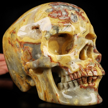 Lifesized 6.9" Crazy Lace Agate Hand Carved Crystal Skull, Super Realistic, Crystal Healing