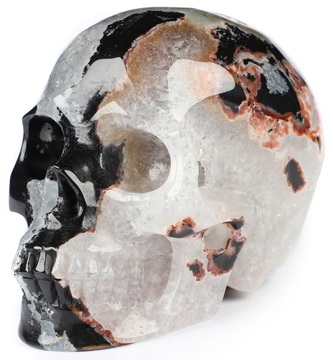 3.5" Black Zebra Agate Hand Carved Crystal Skull, Realistic, Crystal Healing