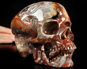 Gemstone 6.0" Red Crazy Lace Agate Hand Carved Crystal Skull, Super Realistic, Crystal Healing