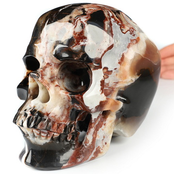 Lifesized 6.0" Black Zebra Agate Hand Carved Crystal Skull, Super Realistic, Crystal Healing