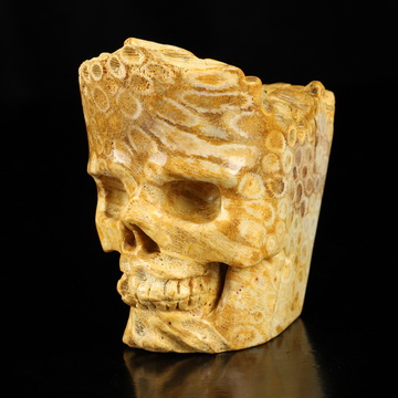 3.0" Coral Fossil Hand Carved Crystal Skull Fine Art Sculpture, Crystal Healing