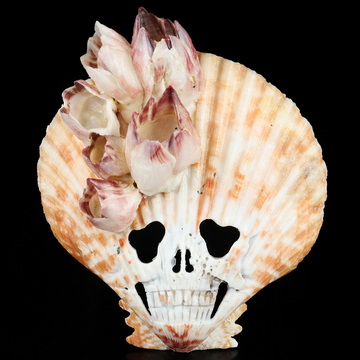 3.7" Shell Hand Carved Crystal Skull and Flower Fine Art Sculpture, Crystal Healing