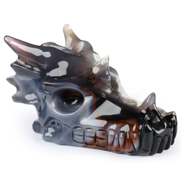 5.3" Black Zebra Agate Hand Carved Crystal Dragon Skull Sculpture, Crystal Healing