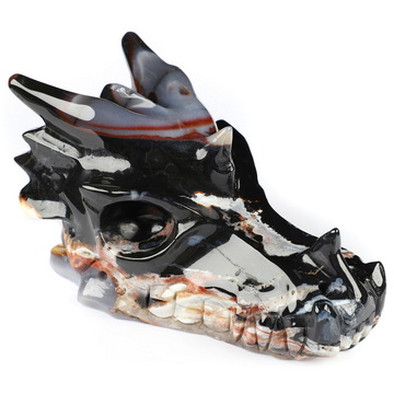 5.0" Black Zebra Agate Hand Carved Crystal Dragon Skull Sculpture, Crystal Healing