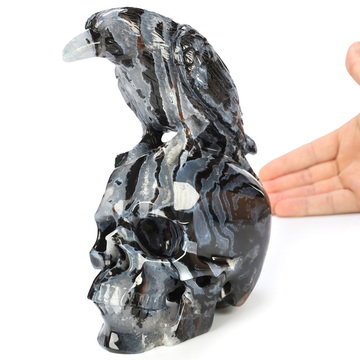 6.4" Black Zebra Agate Hand Carved Crystal Skull and Raven Sculpture, Crystal Healing