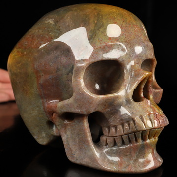 Super Realistic! Lifesized 5.9" Petrified Wood Hand Carved Crystal Skull, Crystal Healing