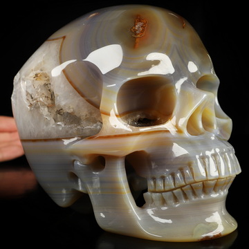 Lifesized 6.7" Agate Geode Hand Carved Crystal Skull, Super Realistic, Crystal Healing Lifesized 6.7" Agate Geode Hand Carved Crystal Skull, Super Realistic, Crystal Healing