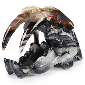 5.9" Black Zebra Agate Hand Carved Crystal Smilodon SABER-TOOTHED Tiger/Cat Skull Sculpture
