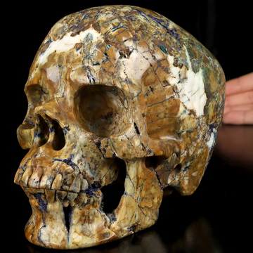 Lifesized 6.5" Azurite Chessylite Hand Carved Crystal Skull, Super Realistic, Crystal Healing