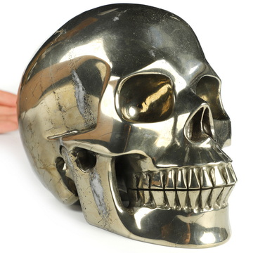Lifesized 6.7" Pyrite Hand Carved Crystal Skull, Realistic, Crystal Healing