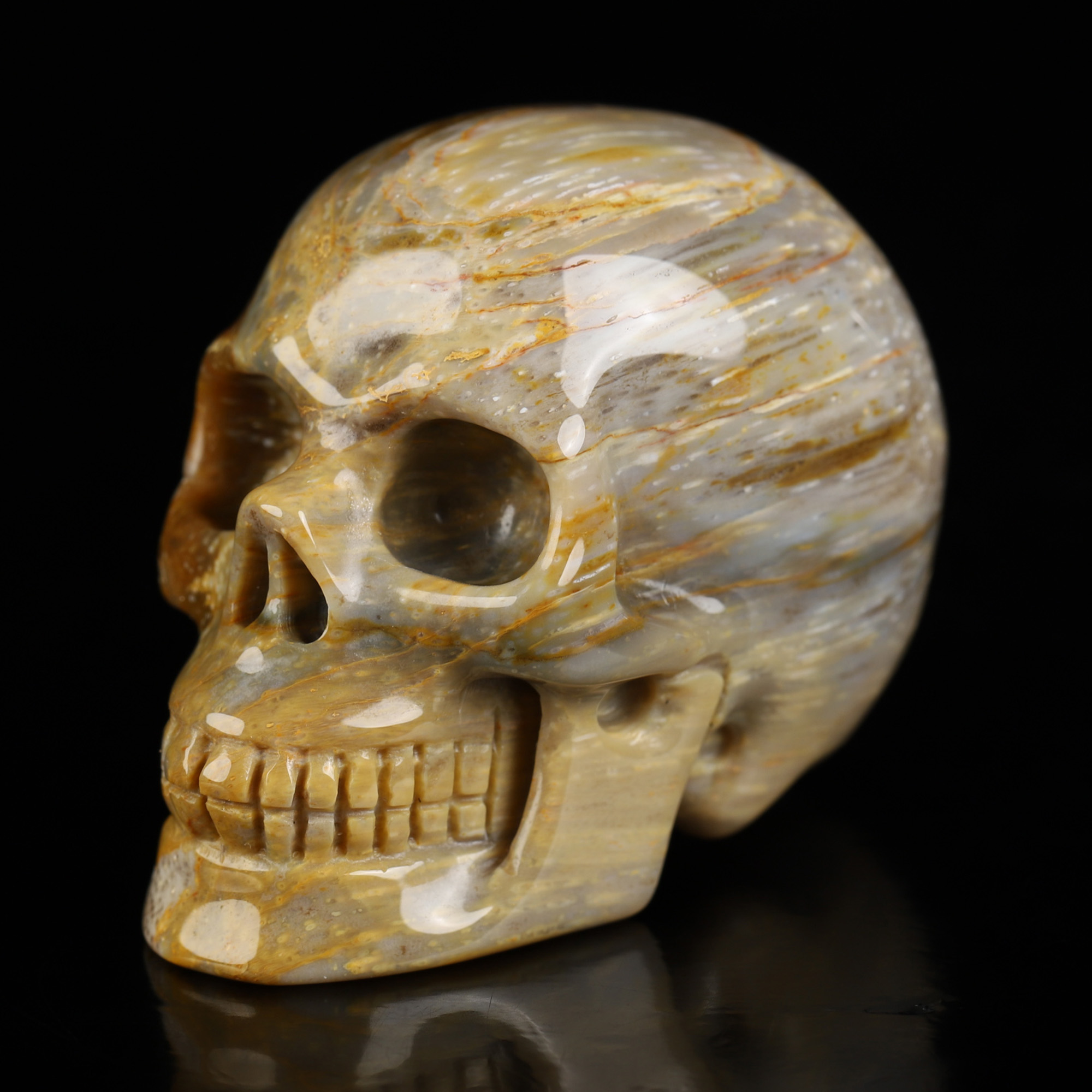 2.0" Petrified Wood Hand Carved Crystal Skull, Realistic, Crystal Healing
