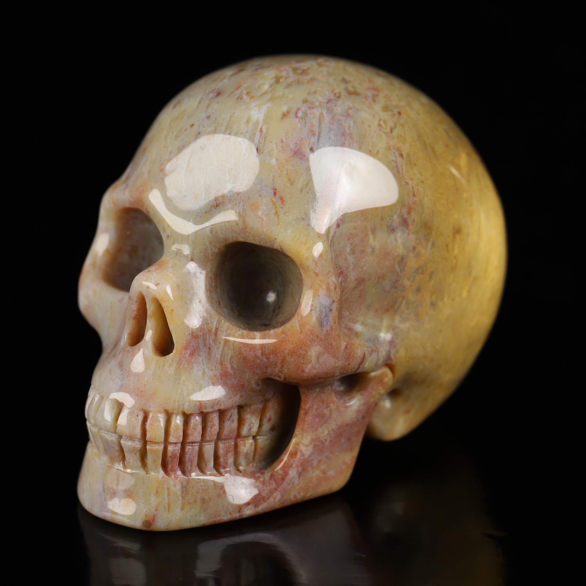 2.0" Petrified Wood Hand Carved Crystal Skull, Realistic, Crystal Healing