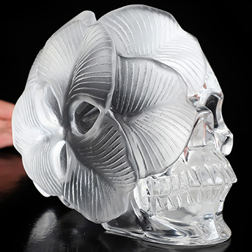 6.0" K9 Crystal Hand Carved Crystal Skull and Flower Fine Art Sculpture, Crystal Healing