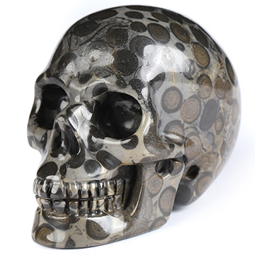 2.0" Chinese Leopard Skin Jasper Hand Carved Crystal Skull, Realistic, Crystal Healing