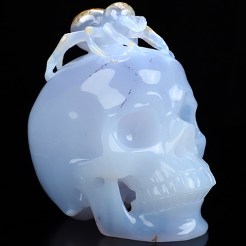 5.5" Blue Chalcedony Hand Carved Crystal Skull and Spider Fine Art Sculpture, Crystal Healing