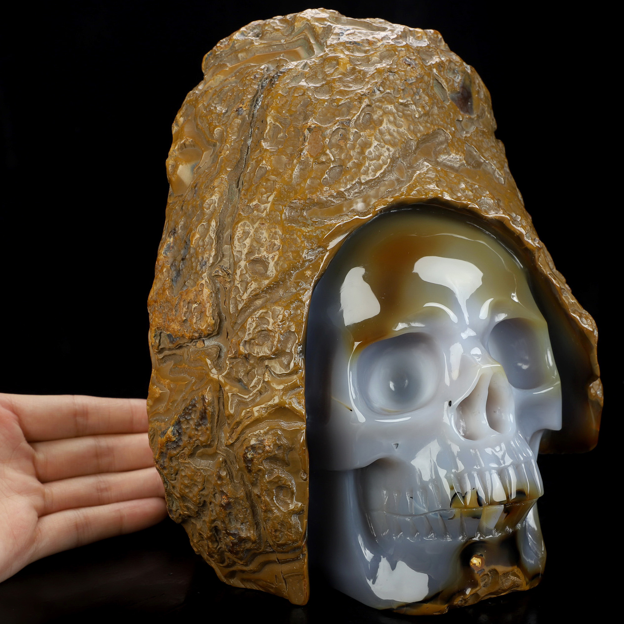 8.0" Agate Hand Carved Crystal Skull Fine Art Sculpture, Crystal Healing