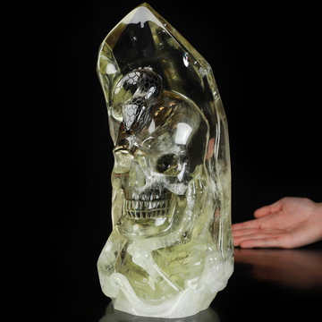 10.9" Citrine Hand Carved Crystal Skull and Snake Sculpture, Crystal Healing