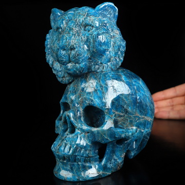 6.5" Blue Apatite Hand Carved Crystal Skull and Lion Fine Art Sculpture, Crystal Healing