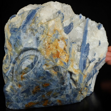 Gemstone 8.1" Kyanite Hand Carved Alien Crystal Skull Fine Art Sculpture, Crystal Healing