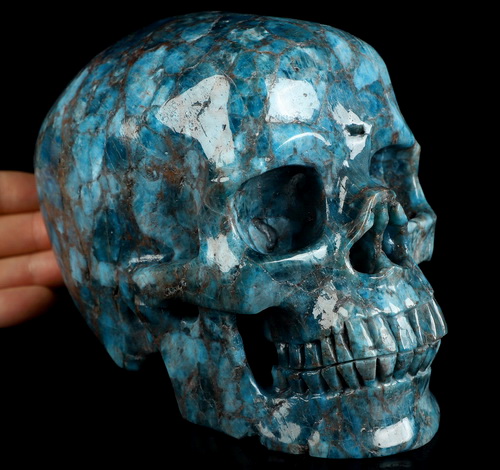 Lifesized 6.0" Blue Apatite Hand Carved Crystal Skull, Super Realistic, Crystal Healing