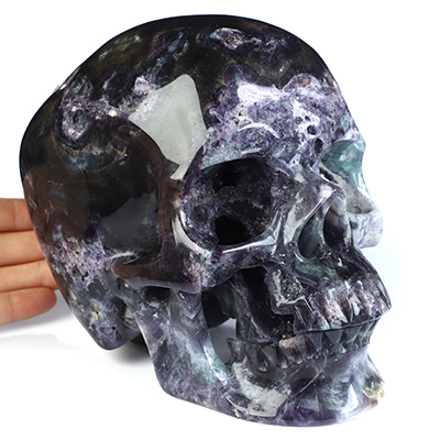 Lifesized 6.8" Fluorite Hand Carved Crystal Skull, Super Realistic, Crystal Healing